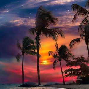 Meet your Posher, Lindsay